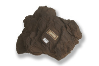 M 04804
<br/>
fijn gelamineerde Bruinkool (licht verplooid)
<br/>
<em></em>